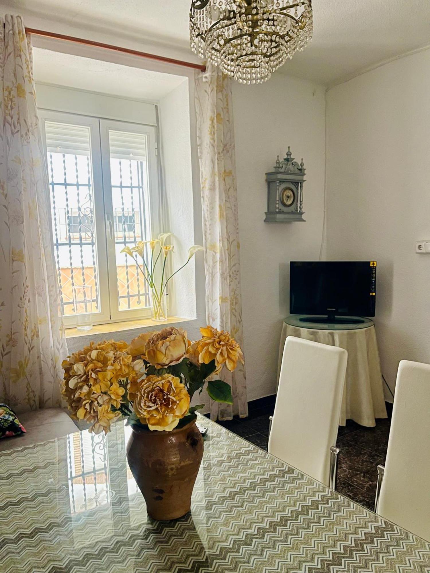Solente Holiday home *